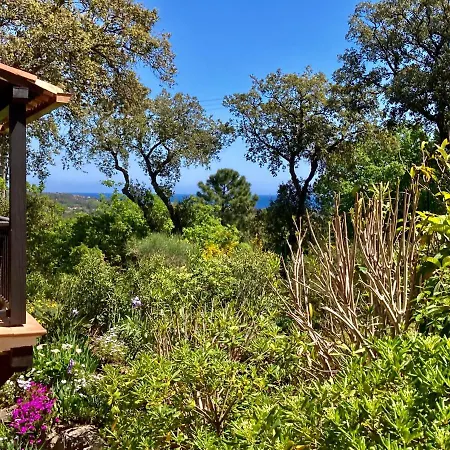 Les Restanques Glycines 2067 Apartment *