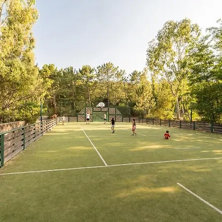 Les Restanques Glycines 2067