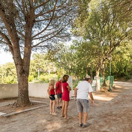 Les Restanques Glycines 2067 Lejlighed