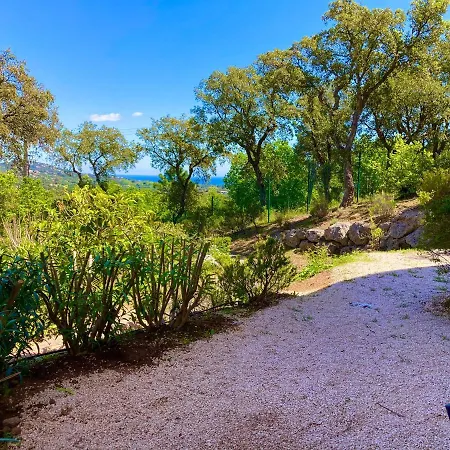 Les Restanques Glycines 2067 Grimaud