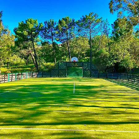 Les Restanques Glycines 2067 Apartament Grimaud