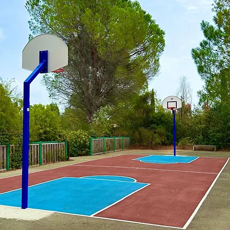 Les Restanques Glycines 2067