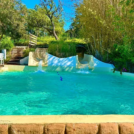 Les Restanques Glycines 2067